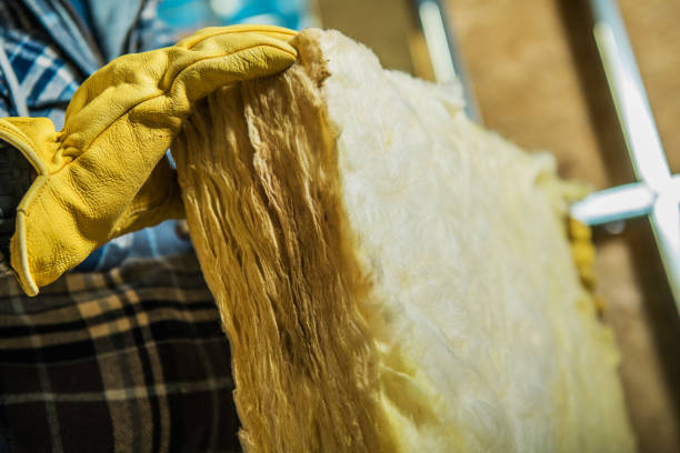 Types of Insulation We Offer in Buffalo, MN