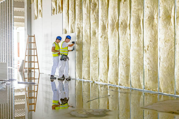 Best Spray Foam Insulation in Buffalo, MN